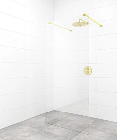 Sprchová zástena Walk-in 100 cm SAT vo farbe profilu zlatá SATBWI100ZAVZ