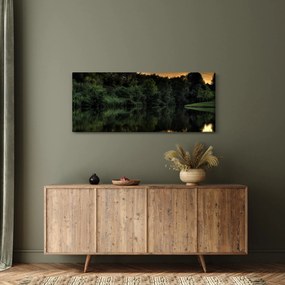 Obraz jazera pri lese (120x50 cm)