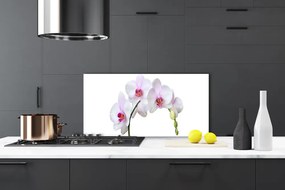 Sklenený obklad Do kuchyne Vstavač orchidea kvety 120x60 cm