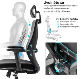 Kancelárska ergonomická stolička Neoseat NICOLE — čierna, nosnosť 150 kg