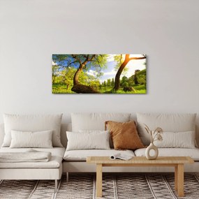 Obraz jarnej lúky (120x50 cm)