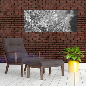 Obraz - Smrekový les (120x50 cm)
