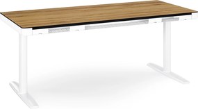 Elektrický písací stôl sit-stand so zásuvkou a bezdrôtovou nabíjačkou Qi biely/zlatý dub, 1600 mm: ELLIS