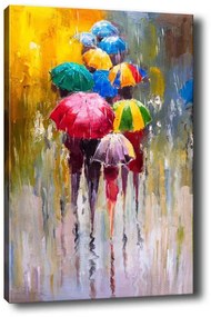Obraz na plátne Raining rainbow 50x70 cm