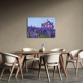 Obraz levanduľového poľa (70x50 cm)