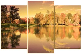 Obraz na plátne - Jesenný park 1175FC (105x70 cm)