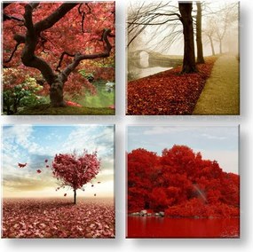 Obraz na stenu Colorful world