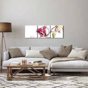 Obraz kvetu orchidey (s hodinami) (90x30 cm)