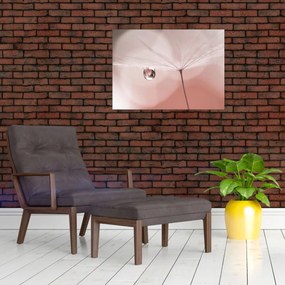 Sklenený obraz - Kvapka rosy (70x50 cm)