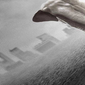 Obraz - Sloník vo veľkomeste, čiernobiely variant (120x50 cm)