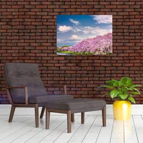Sklenený obraz - Japonská jarná krajina (70x50 cm)