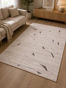 Koberec FASHION 32024/K110