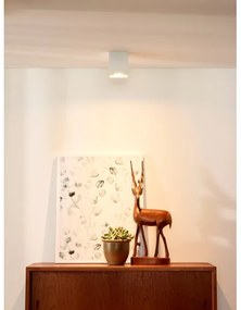 Lucide 09101/01/31 - Bodové svietidlo BODI 1xGU10/50W/230V