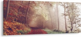 Obraz - Jesenná prechádzka lesom (120x50 cm)