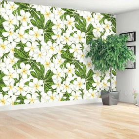 Fototapeta Vliesová Plumeria kvety 250x104 cm