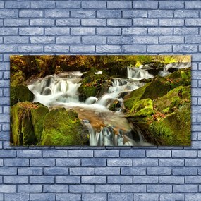 Obraz plexi Vodopád skaly príroda 120x60 cm