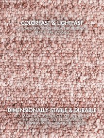 Ted Baker, Kusový koberec Ted Baker Notting Hill 106350 Pink, 120x170, ružová, obývacia izba