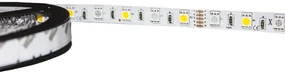 BERGE LED pásek - SMD 5050 - RGB+NW- 5m - 60 LED/m - 14,4 W/m - IP20