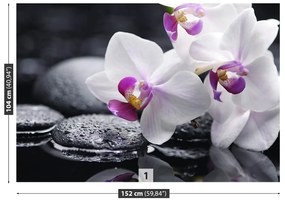 Fototapeta Vliesová Orchidea 312x219 cm