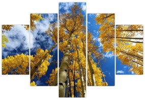 Obraz - Aspen (150x105 cm)