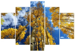 Obraz - Aspen (150x105 cm)