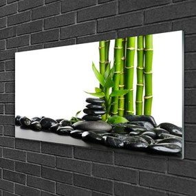 Obraz na skle Bambus kamene umenie 100x50 cm