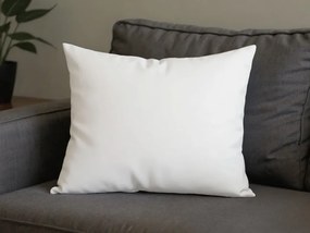 Bavlnená obliečka na vankúš MONERA 50x70 cm, biela