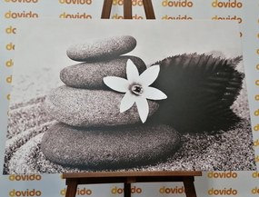 Obraz kvet a kamene v piesku v čiernobielom prevedení - 90x60