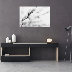 Obraz - Začiatok jari (90x60 cm)