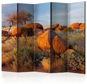 Paraván - African landscape, Namibia II [Room Dividers]