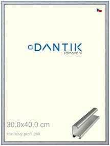 DANTIK rám na obraz 30x40 | ALU Sstříbrná broušená (Plexi Čiré)