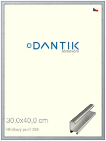 DANTIK rám na obraz 30x40 | ALU Sstříbrná broušená (Plexi Čiré)