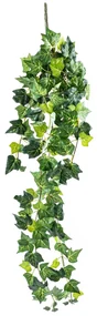 Umelý zväzok Brečtanu, 80 cm