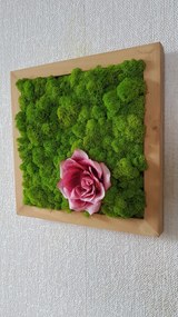 Machový obraz s kvetom ruže 40cm x 40cm