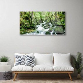 Skleneny obraz Les potok vodopády rieka 125x50 cm