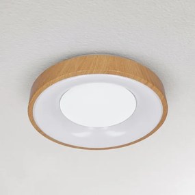 Brilagi - LED Stropné svietidlo DORIA LED/24W/230V
