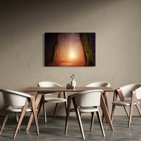 Obraz jesenného lesa v hmle (90x60 cm)