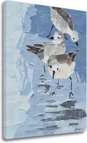 Obraz na plátne ČAJKY