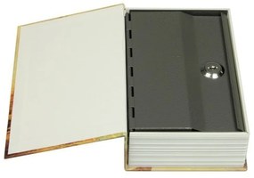 Bezpečnostná schránka TS 0209, Paris, viacfarebná