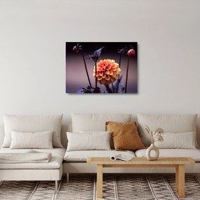 Sklenený obraz - Kvietok (70x50 cm)