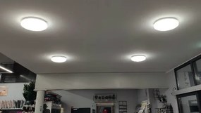 STRÜHM Prisadené stropné svietidlo s pohybovým senzorom SOLA LED C SLIM MVS 14W Neutral White 4319