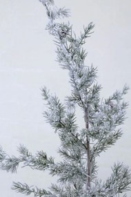 Zasnežený vianočný stromček v jute a so šiškami Pine Tree - 55*120 cm