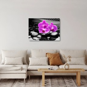Sklenený obraz - Fialové orchidey (70x50 cm)