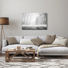 Obraz - Drevené mólo v zime (90x60 cm)