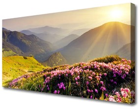 Obraz Canvas Hora lúka krajina 120x60 cm