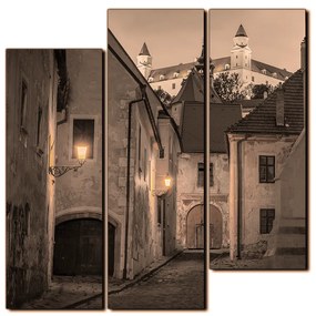 Obraz na plátne - Bratislava staré mesto s hradom vzadu - štvorec 3265FD (105x105 cm)