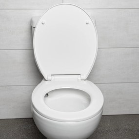 Novoterm WC kombi NV-Tetra so zadným odpadom a SoftClose sedadlom
