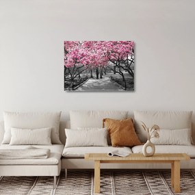 Sklenený obraz stromov Magnólie (70x50 cm)