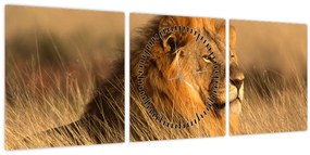 Obraz - Národný park Etosha (s hodinami) (90x30 cm)