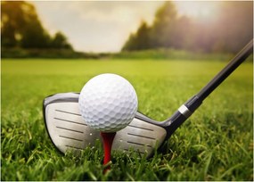 Obraz - Golf (70x50 cm)
